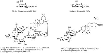 The Immunomodulatory Effects of Active Ingredients From Nigella sativa in RAW264.7 Cells Through NF-κB/MAPK Signaling Pathways